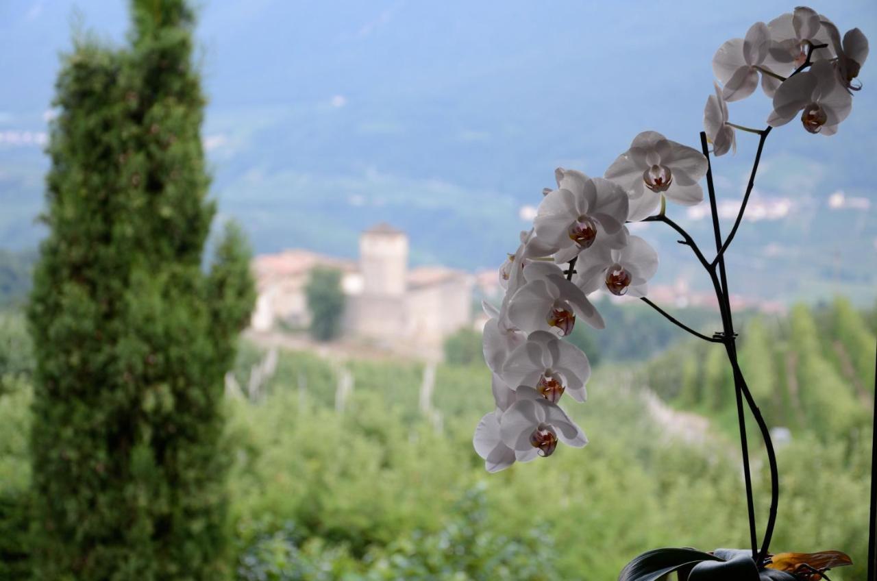 Bed and Breakfast Al Trifoglio à Campodenno Extérieur photo